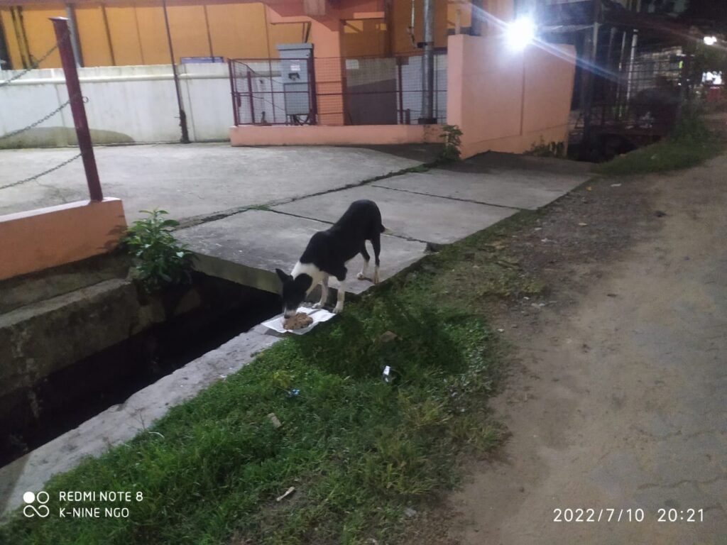 473589613 1691994238329264 5717461626564184478 n