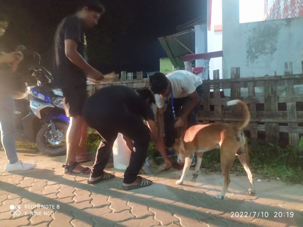 473591963 1691994264995928 4001231227783272994 n