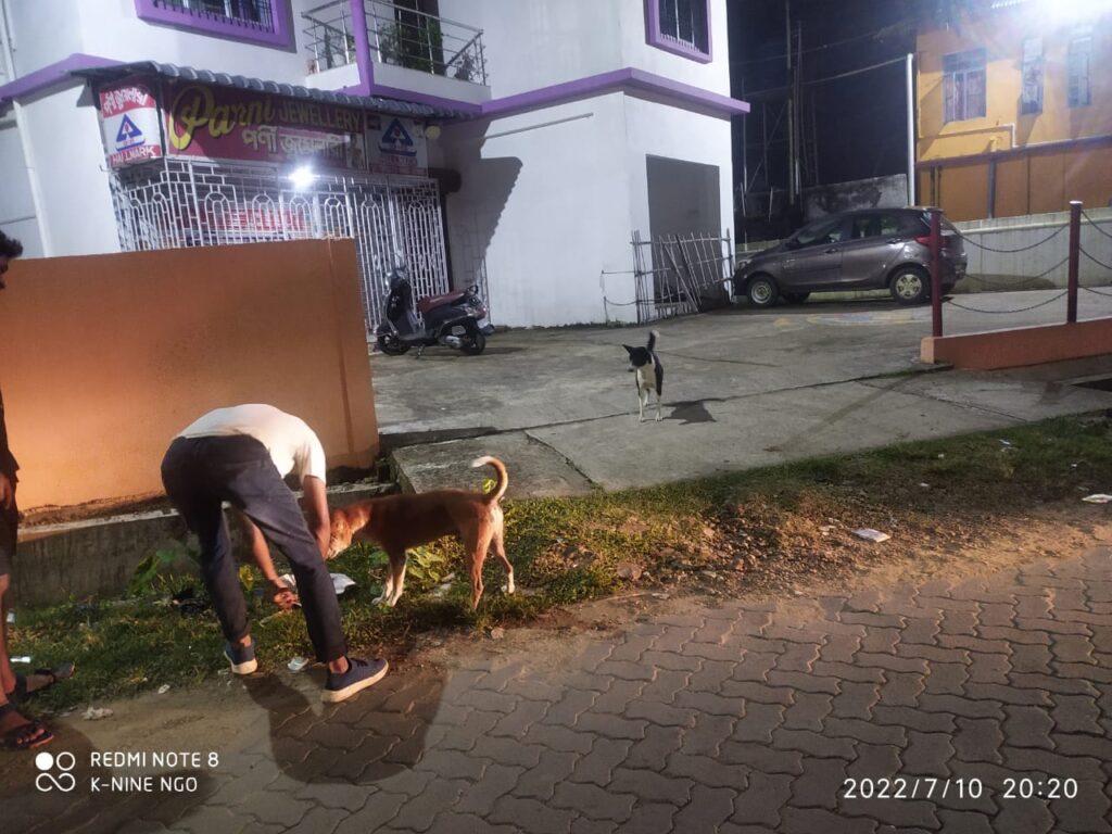 473618873 1691994311662590 3535557875227498983 n