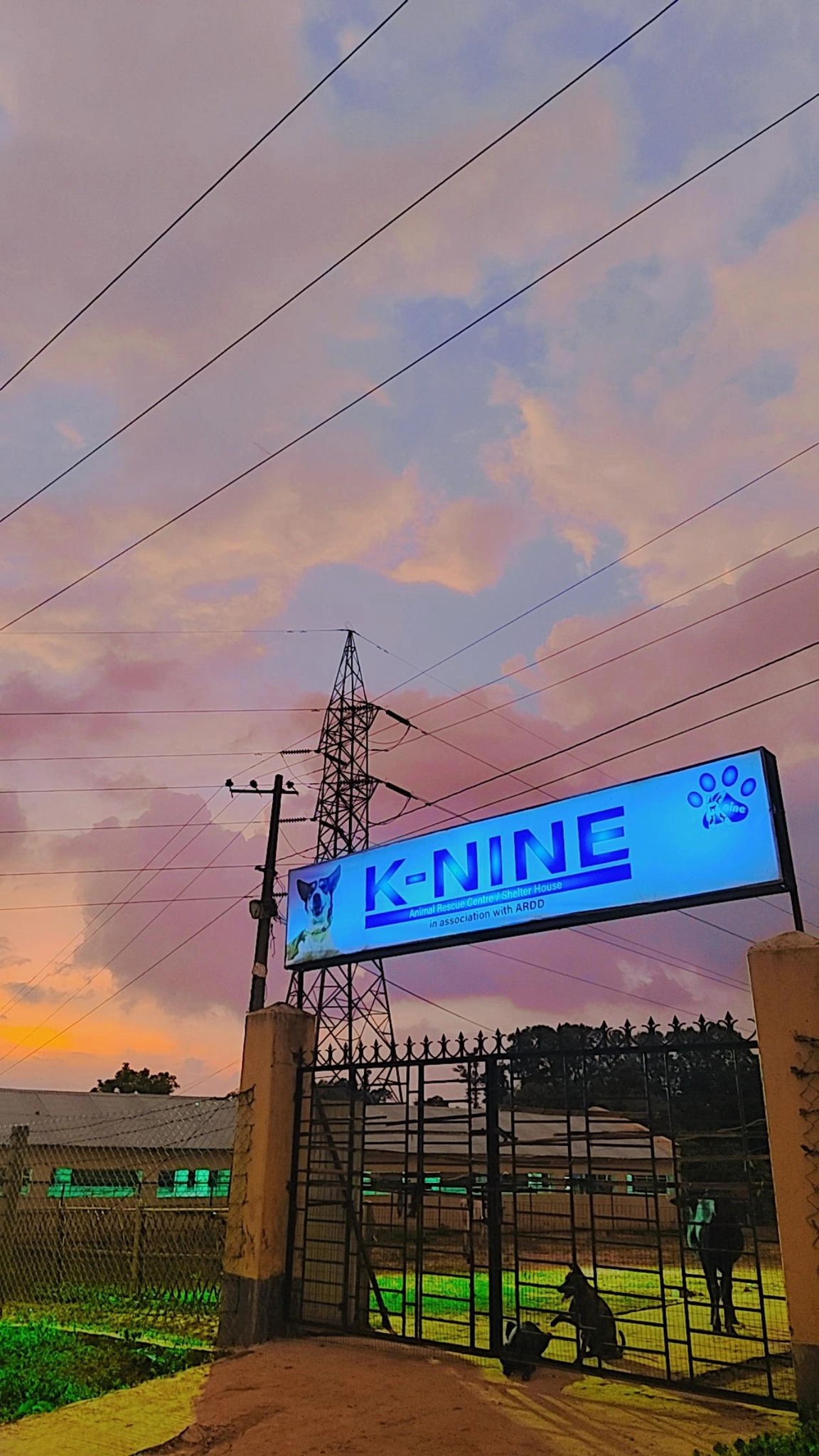 K-Nine Animal Welfare