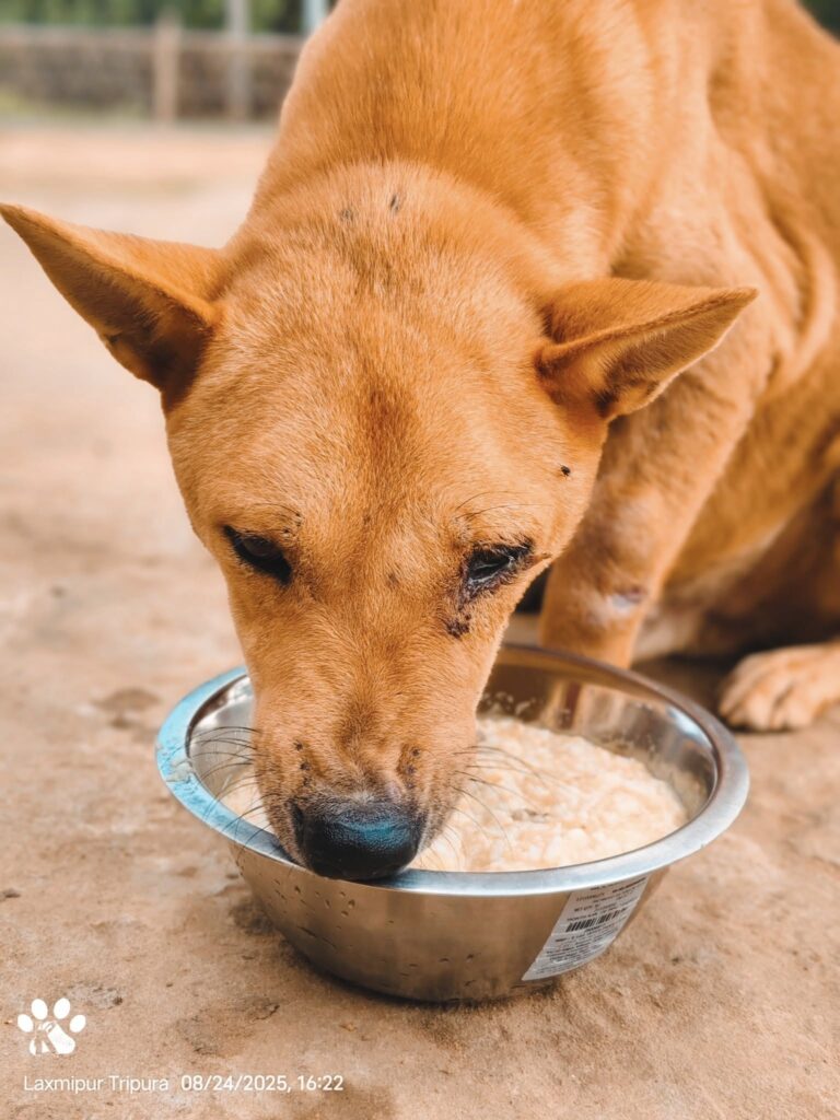 538778098 1091152813125285 2009006541211295632 n